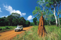 Cape York Tours